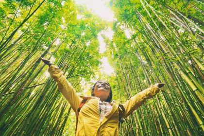 woman enjoys bamboo forest