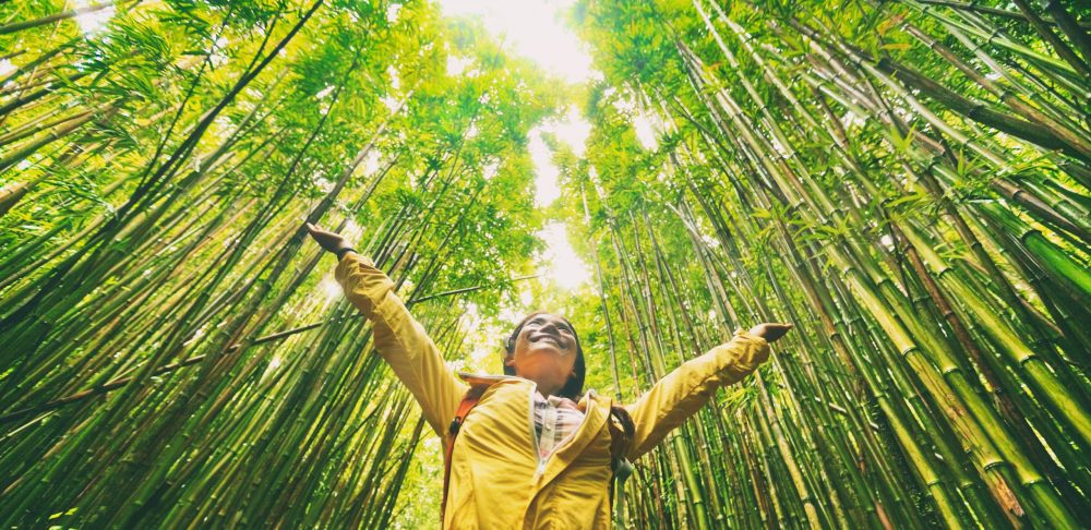 woman enjoys bamboo forest
